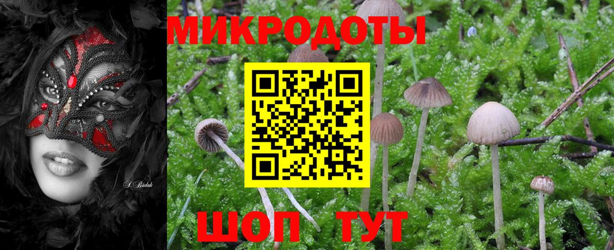 Железногорск  Псилоцибиновые грибы мицелий  Вход с VPN  Псилоцибиновые грибы Psilocybine cubensis 