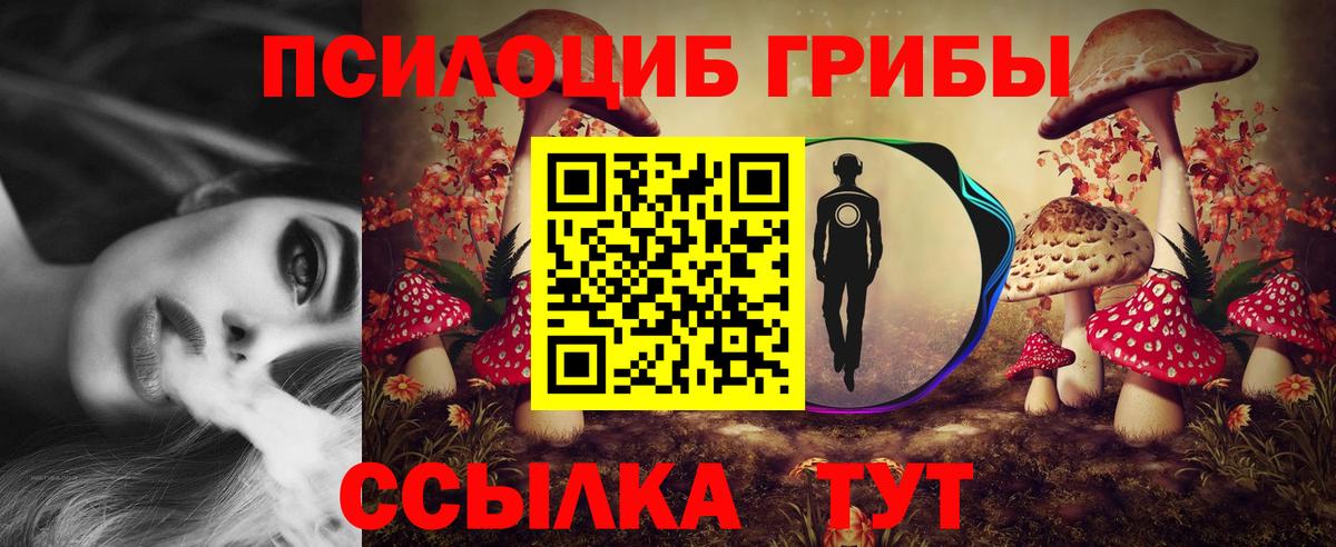 Галлюциногенные грибы Magic Shrooms Железногорск